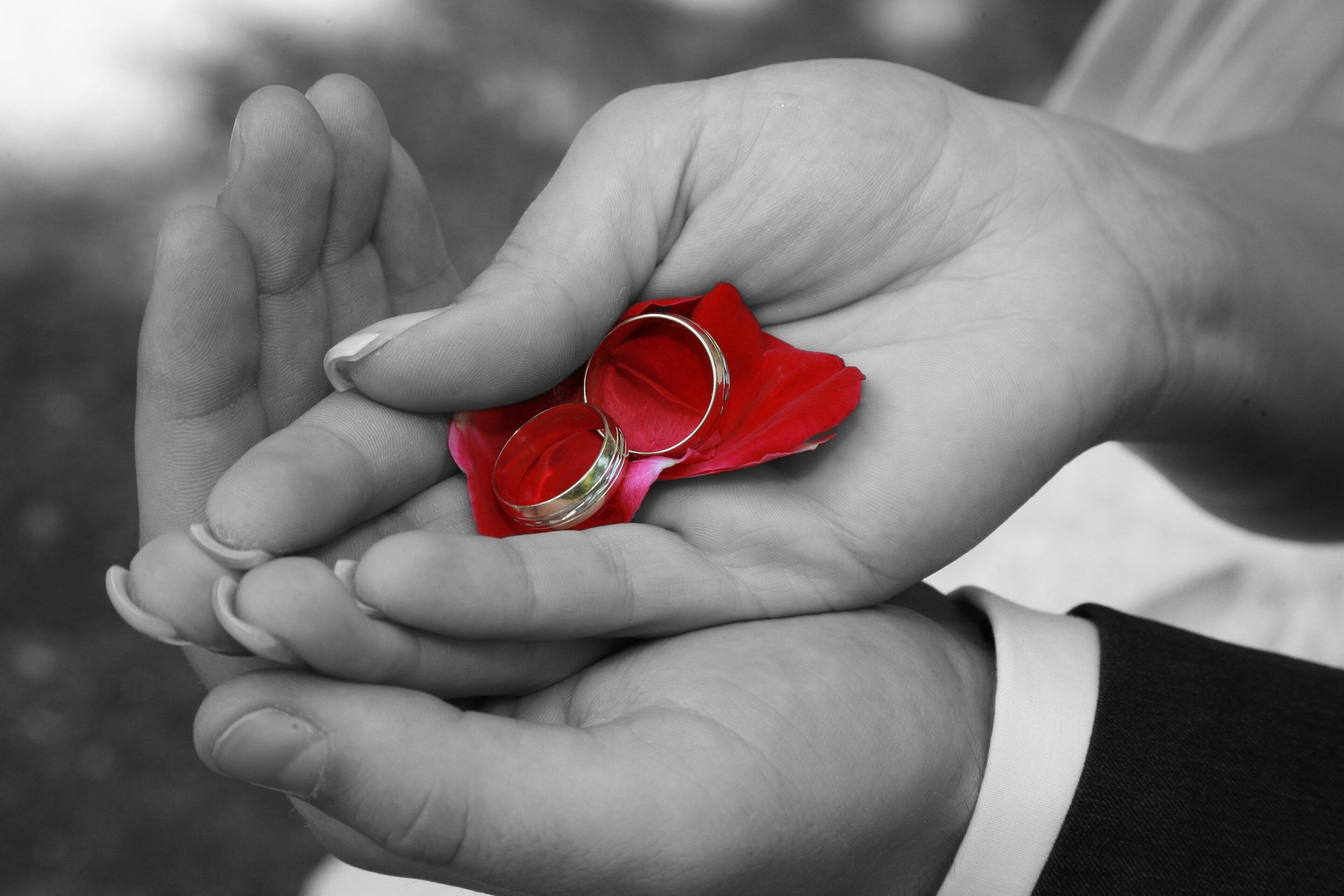 The best wedding rings yorkshire